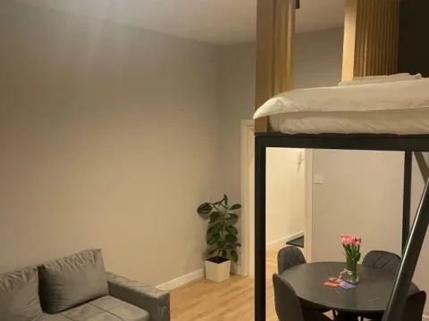 Izdavanje, jednosoban stan, 30m², Grbavica, Novi Sad Sve Podlokacije - image 3