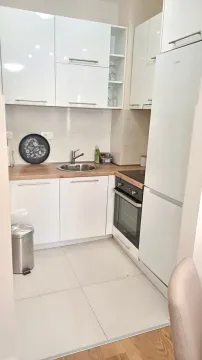 Manja bijela kuhinja sa drvenom radnom pločom i ugradnim uređajima. - image 3