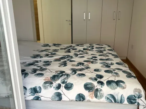 Izdavanje, dvosoban stan, 40m², Zabjelo, Podgorica - image 7