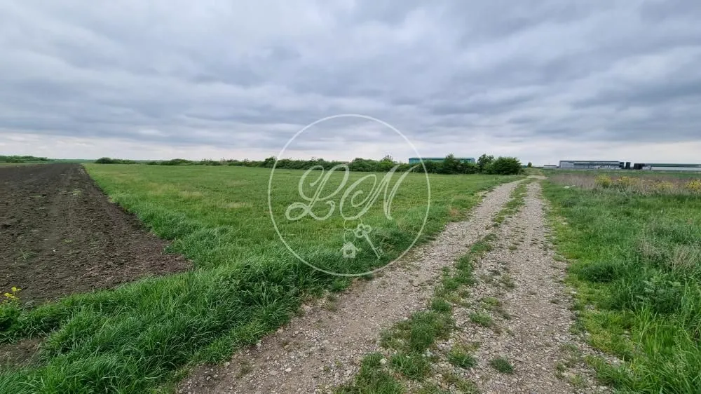 Prodaja, plac, 7400m², Deč, Pećinci