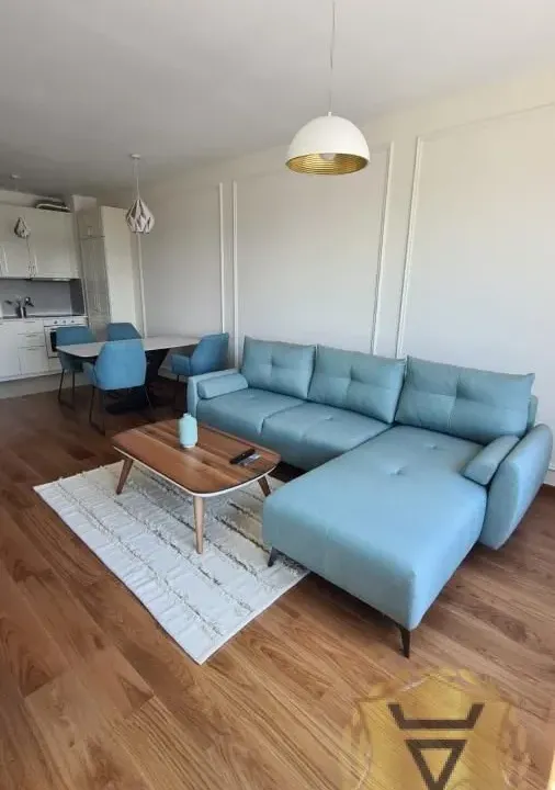Rent, two bedroom apartment, 56m², Novi Beograd Blok 65, Novi Beograd Sve Podlokacije