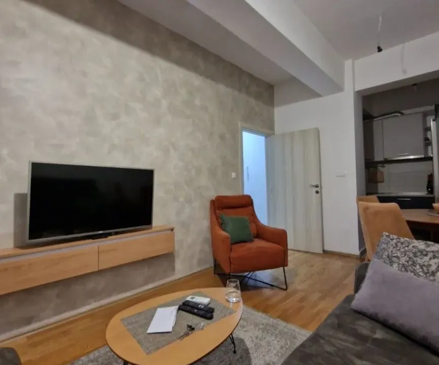 Rent, one bedroom apartment, 42m², Zagorič, Podgorica