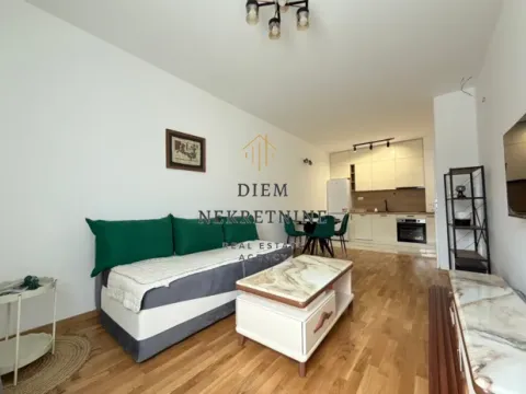 Rent, one bedroom apartment, 45m², Zagorič, Podgorica - image 5