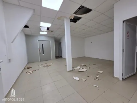 Izdavanje, poslovni prostor, 310m², Dušanovac, Voždovac Sve Podlokacije - image 13