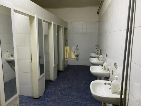 Rent, office space, 7830m², Salajka, Novi Sad Sve Podlokacije - image 11