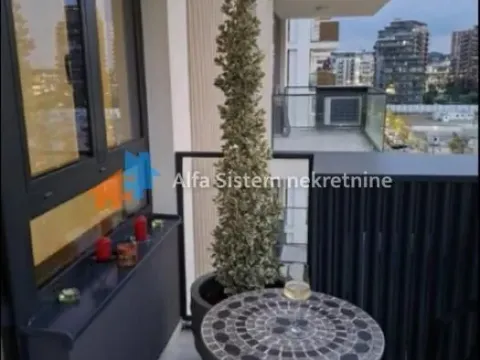 Izdavanje, dvosoban stan, 61m², Savski Venac, Beograd - image 19