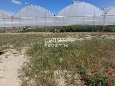 Prodaja, plac, 15000m², Belegiš, Stara Pazova - image 13