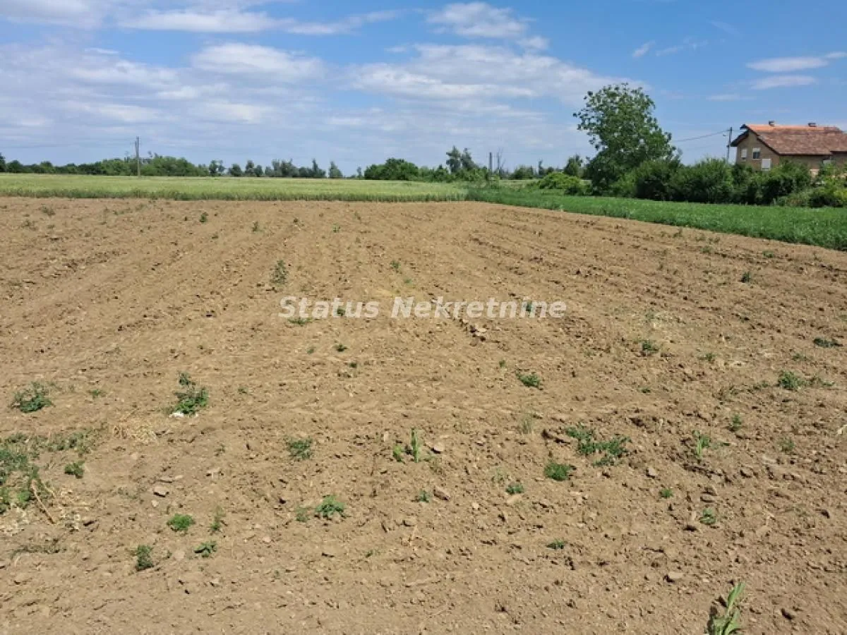 Prodaja, plac, 720m², Begeč, Novi Sad Sve Podlokacije