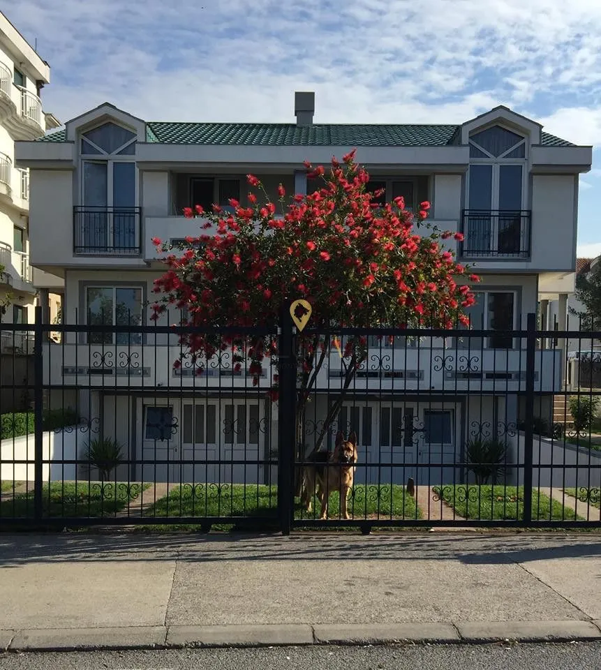 Prodaja, kuća, 350m², Stari Aerodrom, Podgorica