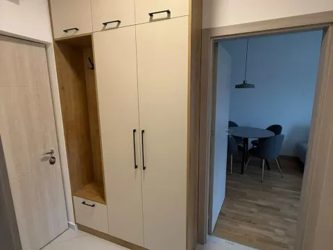 Rent, one bedroom apartment, 40m², Zabjelo, Podgorica - image 5