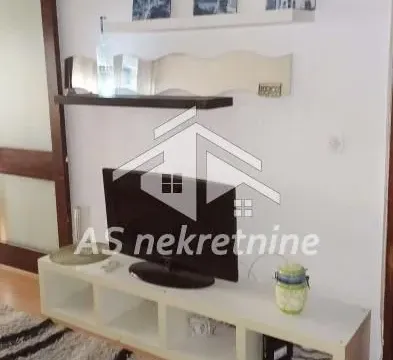 Rent, two bedroom apartment, 50m², Vračar Sve Podlokacije, Beograd - image 2
