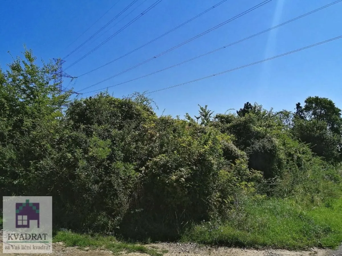 Prodaja, plac, 3500m², Skela, Obrenovac
