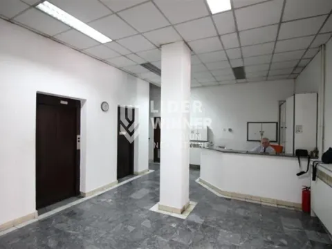 Izdavanje, poslovni prostor, 220m², Centar Sve Podlokacije, Beograd - image 11