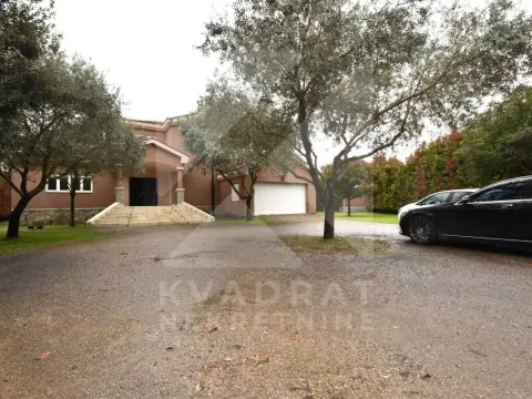 Rent, house, 330m², Golubovci, Podgorica - image 39