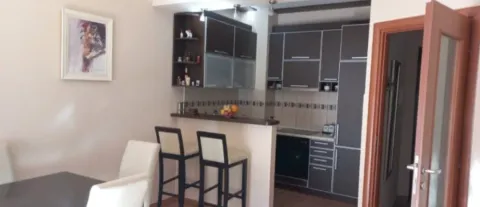 Rent, one bedroom apartment, 55m², Podgorica, Crna Gora - image 2