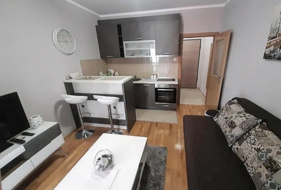 Izdavanje, garsonjera, 30m², Ljubović, Podgorica