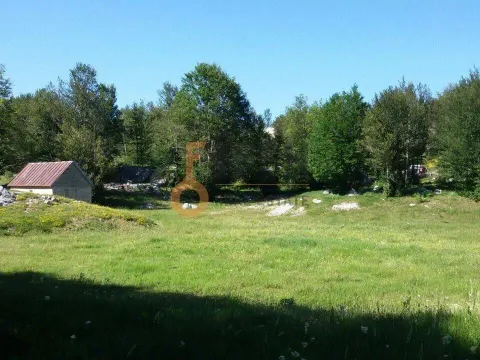 Prodaja, plac, 100000m², Cetinje, Crna Gora - image 9