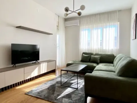 Izdavanje, jednosoban stan, 47m², Central Point, Podgorica - image 1
