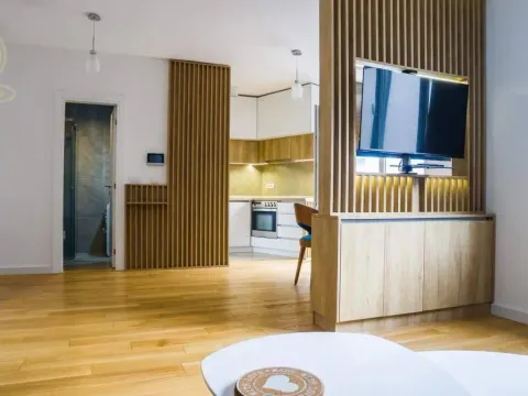 Izdavanje, dvosoban stan, 54m², Južni Bulevar, Vračar Sve Podlokacije - image 2