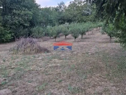 Prodaja, plac, 1400m², Inđija, Srbija - image 4