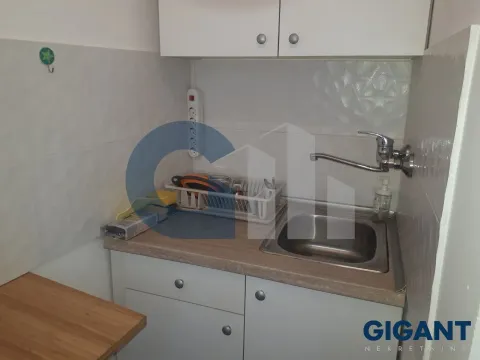 Izdavanje, jednosoban stan, 33m², Vračar Hram, Vračar Sve Podlokacije - image 11