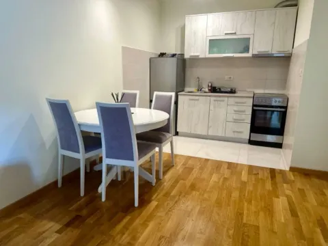 Izdavanje, jednosoban stan, 43m², Zagorič, Podgorica - image 2