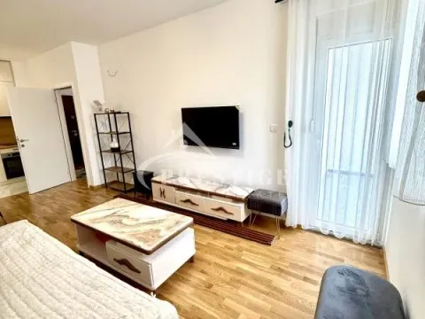 Izdavanje, jednosoban stan, 46m², Zagorič, Podgorica - image 3