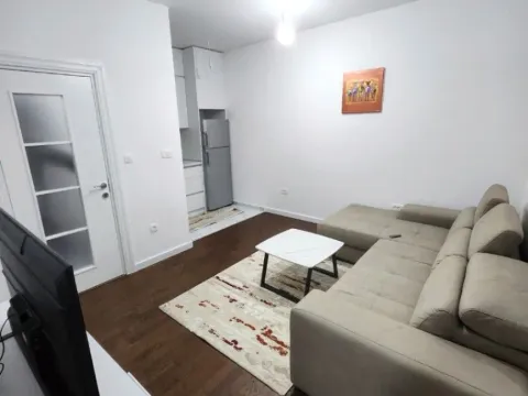 Izdavanje, jednosoban stan, 38m², Central Point, Podgorica - image 2