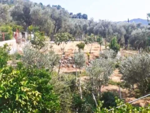 Sale, house, 400m², Bar, Crna Gora - image 8