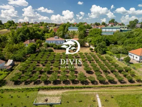 Sale, house, 200m², Mala Ivanča, Sopot - image 3