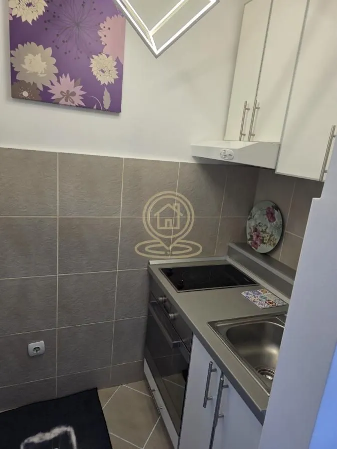Rent, one bedroom apartment, 26m², Kalenić Pijaca, Vračar Sve Podlokacije