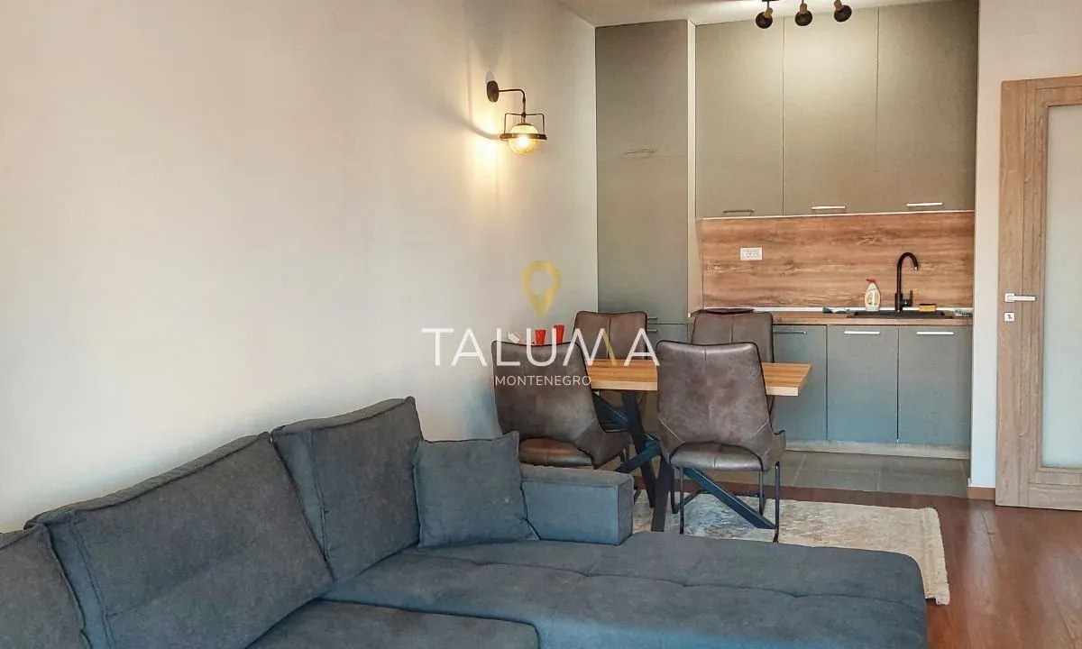 Rent, one bedroom apartment, 49m², City Kvart, Podgorica