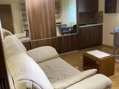 Rent, one bedroom apartment, 42m², Sajmište, Novi Sad - image 2