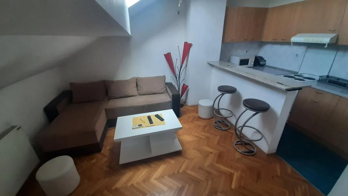 Rent, one bedroom apartment, 45m², Centar, Novi Sad