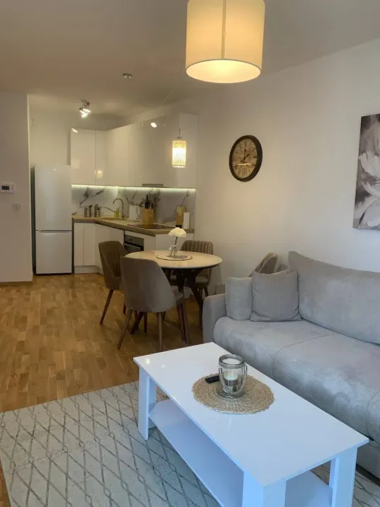 Rent, one bedroom apartment, 45m², Bečići, Budva