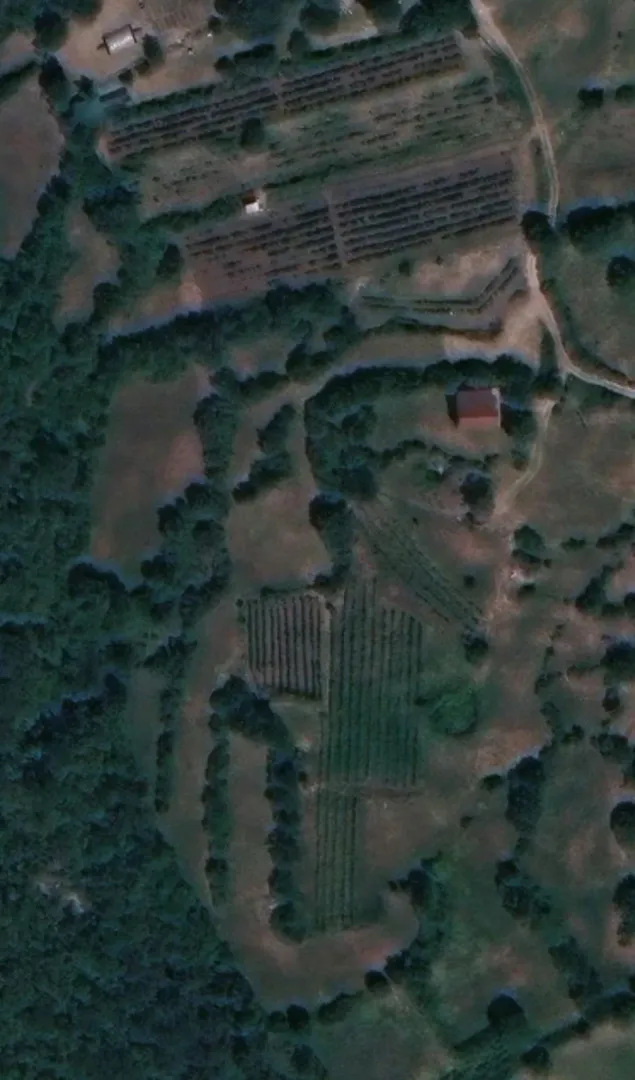 Satelitski snimak zemljišta sa rastinjem i objektom.