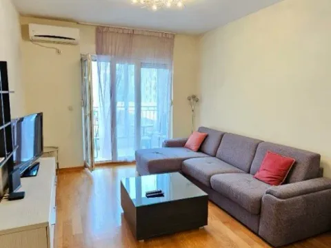 Izdavanje, jednosoban stan, 47m², Blok 6, Podgorica - image 2