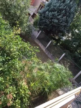 A yard with greenery and trees. - image 8