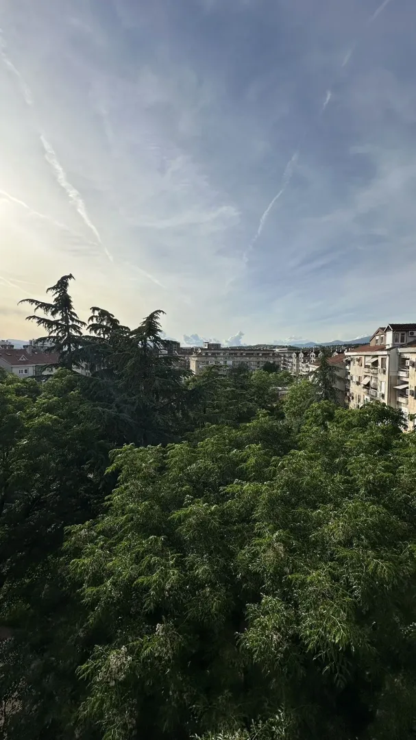 Pogled sa visine na zelene krošnje drveća i gradske zgrade pod plavim nebom.