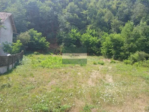 Prodaja, plac, 2581m², Novo Lanište, Jagodina - image 9
