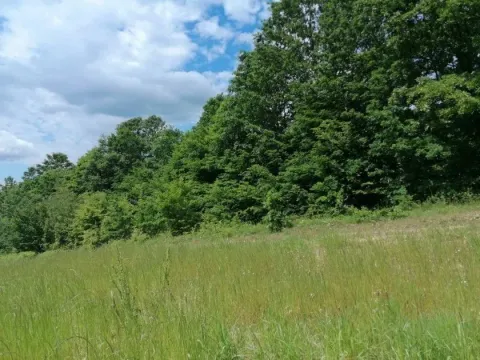 Pogled na zelenu livadu i šumu na građevinskom placu. - image 3