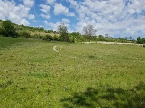Prodaja, plac, 1500m², Beočin, Srbija - image 3