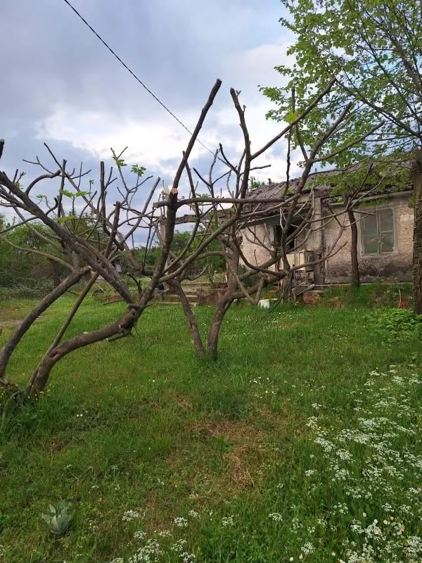 Prodaja, kuća, 40m², Danilovgrad, Crna Gora