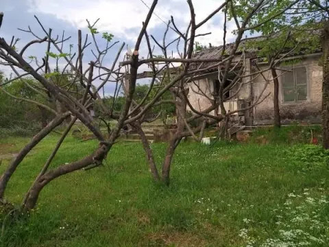 Prodaja, kuća, 40m², Danilovgrad, Crna Gora - image 5