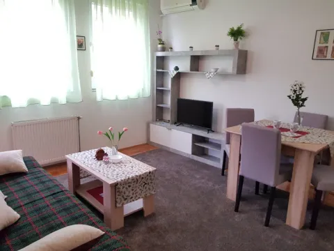 Izdavanje, jednosoban stan, 35m², Centar, Novi Sad - image 11