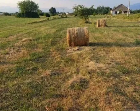 Sale, land lot, 7400m², Zeta, Podgorica - image 4