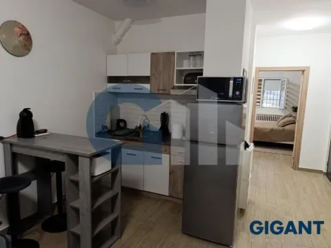 Izdavanje, jednosoban stan, 37m², Vračar, Šid - image 4