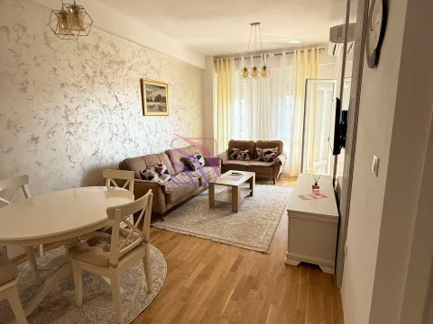 Izdavanje, jednosoban stan, 47m², Zagorič, Podgorica - image 3