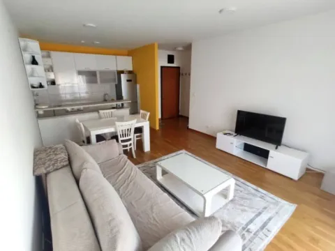 Izdavanje, jednosoban stan, 53m², City Kvart, Podgorica - image 2