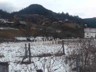 Prodaja, plac, Tara, Srbija - image 1